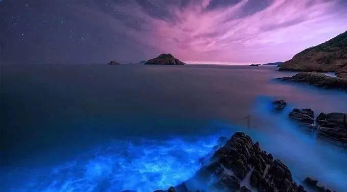 疑似苹果2023手机市场份额并非第一，三星依然保持领先